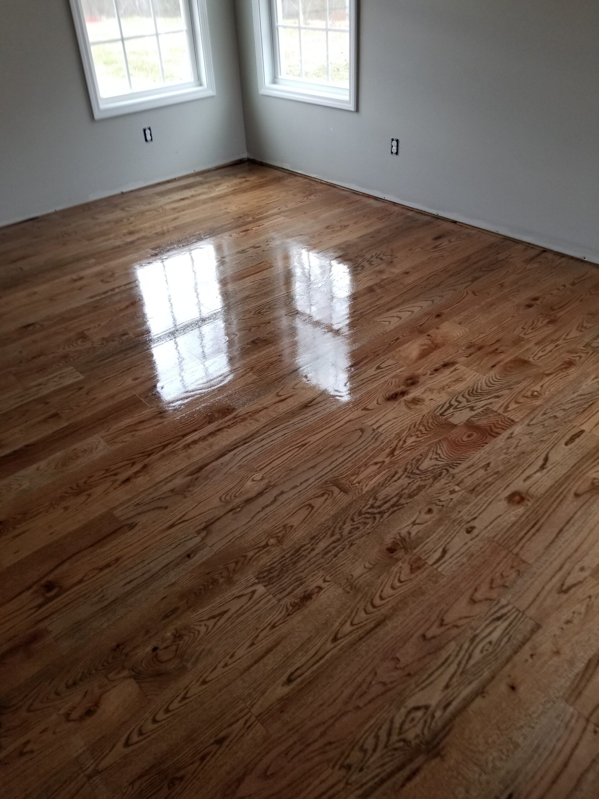 An empty room with two windows and newly finished, polished wooden floors reflecting light—a testament to expert flooring contractor craftsmanship.